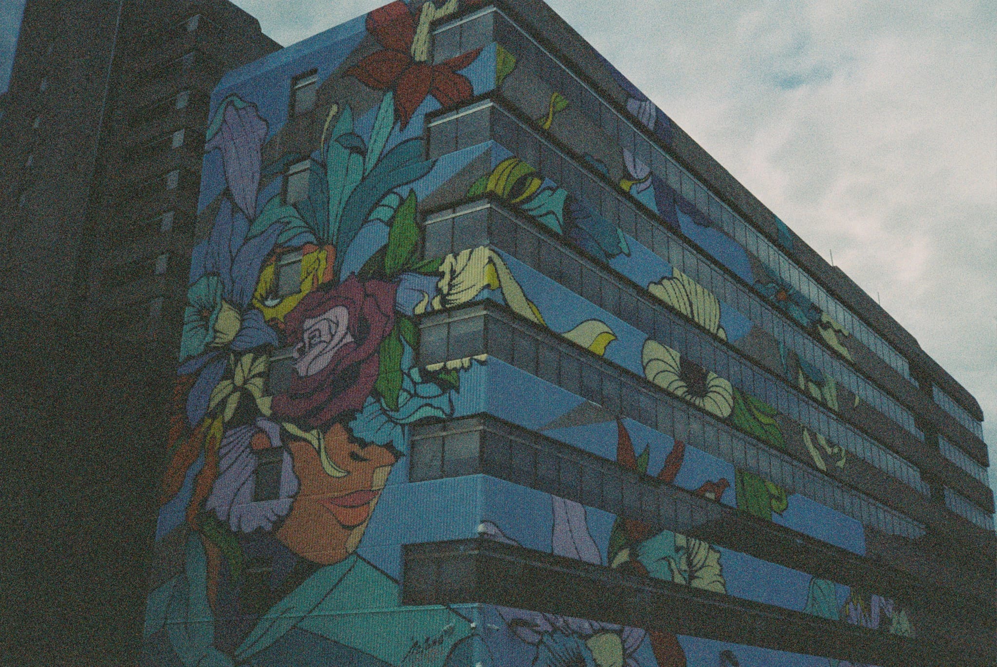 Image description