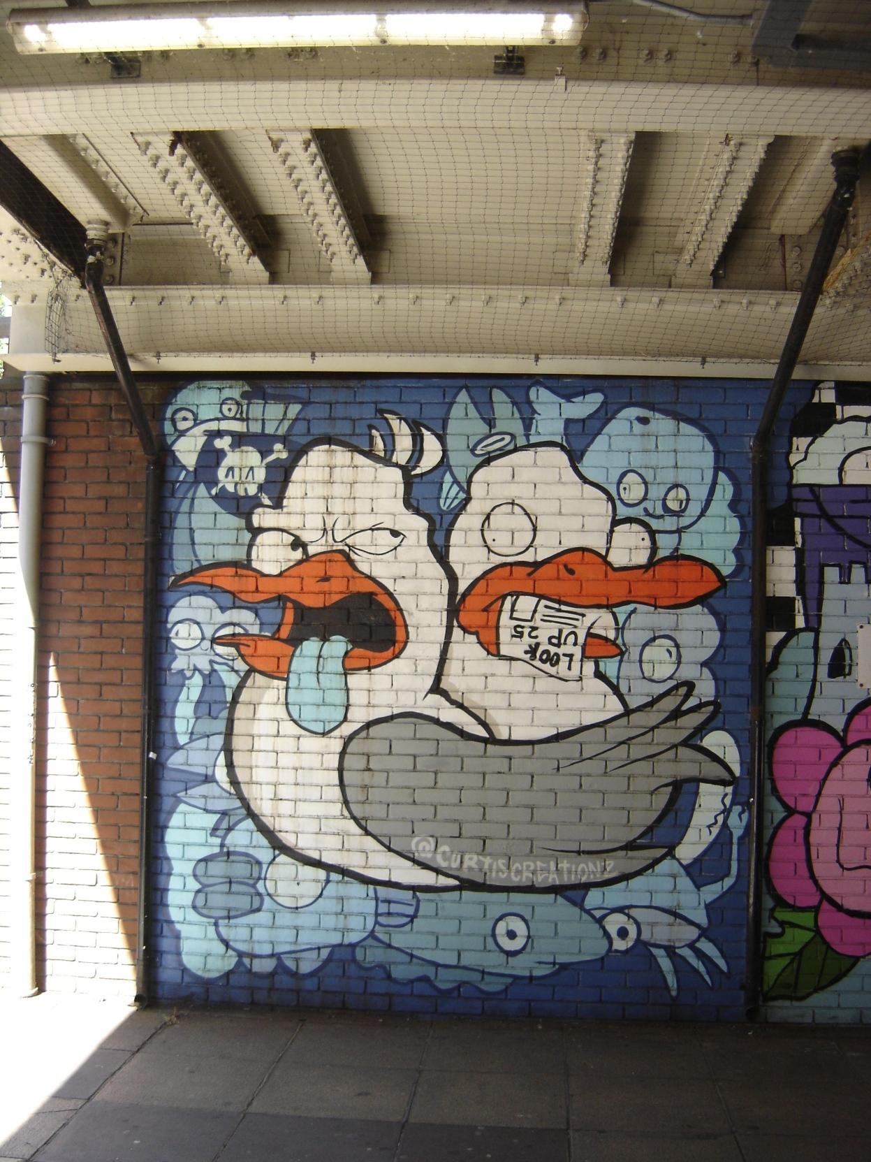 Seagulls